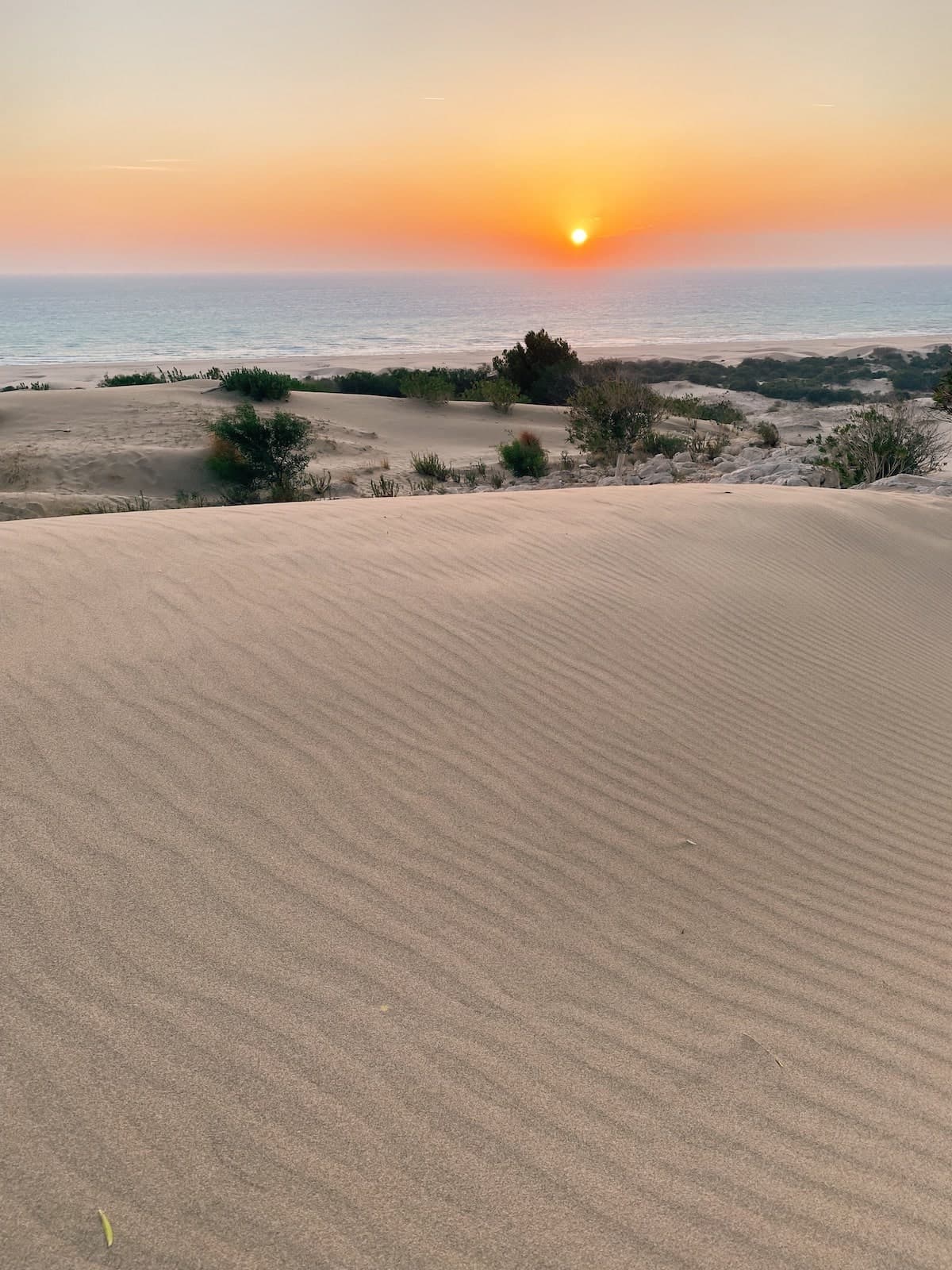 Was gibt es in Patara zu entdecken?
