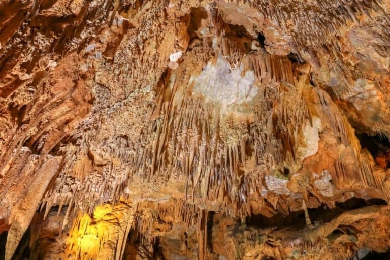 Entdecke die Damlatas Höhle Alanya – ein verstecktes Juwel