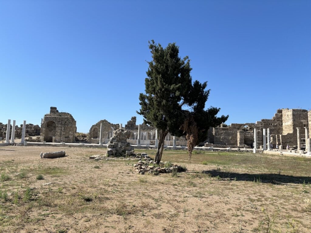 Inmitten der antiken Ruinen der Altstadt von Side steht ein einsamer Baum, umgeben von Säulen und Steinstrukturen unter einem klaren blauen Himmel.