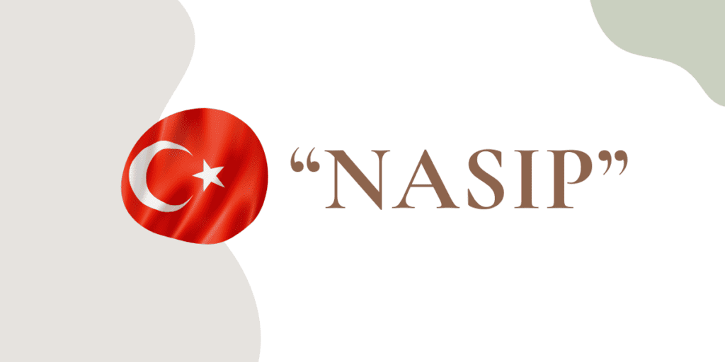 Das Nasip-Logo auf weißem Hintergrund unterstreicht seine Bedeutung.